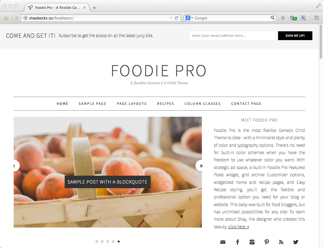 Best blog themes for WordPress: Foodie Pro