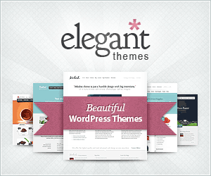 Best WordPress Themes for blogs: Elegant Themes